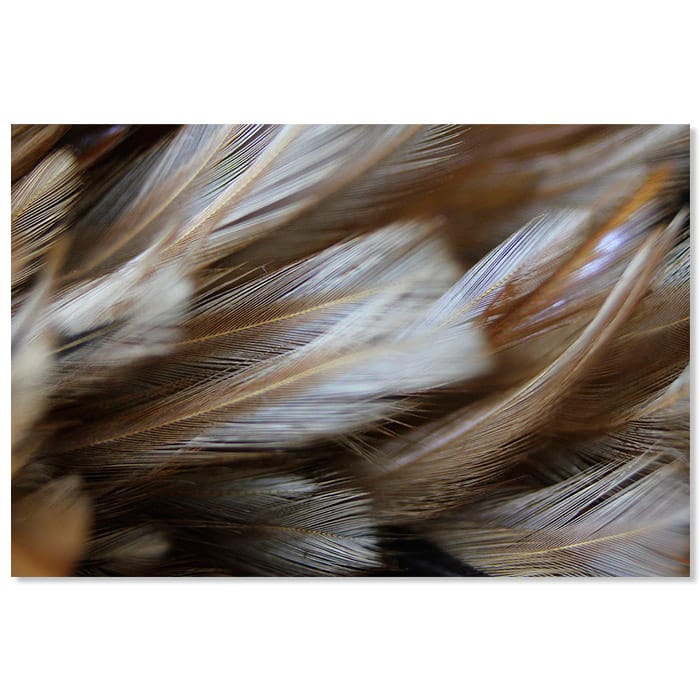 tablou-canvas-modern-pene-colorate-201317